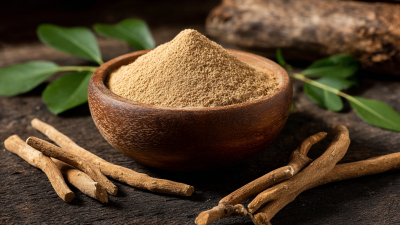 2025 Top 10 Benefits of Ashwagandha Extract for Wellness and Vitality