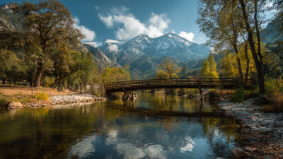 2025 Top Picks: Understanding Bridge Type Full Wave Rectifiers for Optimal Performance