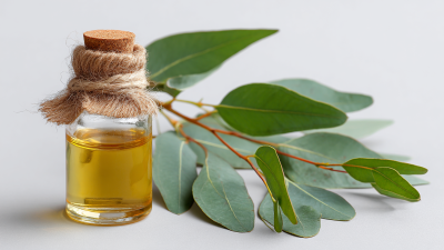 How to Use Eucalyptus Oil for Natural Health Benefits and Wellness