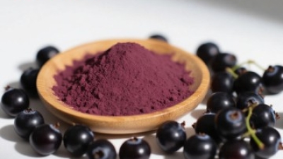 Black Currant Extract 1.jpg