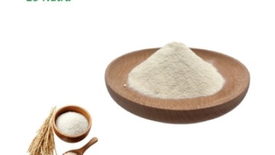Hydrolysed-Rice-Protein.jpg