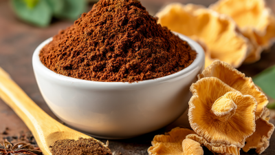 2025 Top 5 Benefits of Phellinus Linteus Extract Powder for Health