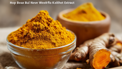 Top 10 Health Benefits of Turmeric Extract You Need to Know Today