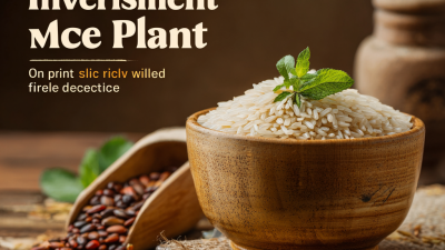 Top 7 Benefits of Investing in a Rice Mill Plant for Increased Profitability