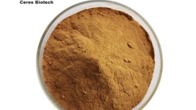 Hawthorn Extract.jpg