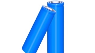 sodium ion cells