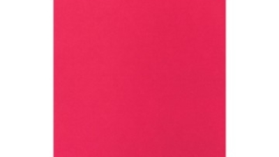Fluorescent Pink.jpg