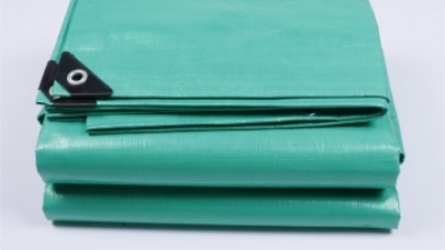 Double Green Tarpaulin (1).JPG