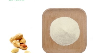 Hydrolzyed Peanut Protein.jpg