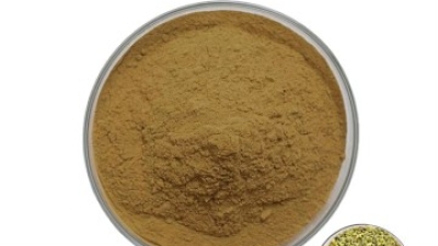 Sophora Japonica Extract 1.jpg