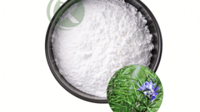 Rosmarinic Acid Powder.png