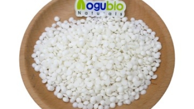 aogebio Beheneth-25.jpg