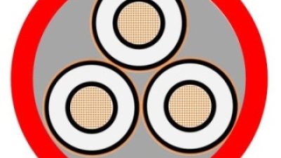 BS6622 3.6KV 3C Aluminum XLPE Insualtion Medium Voltage Cable.jpg