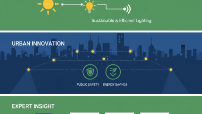 2025 Top Motion Sensor Spotlight Solar Reviews and Buying Guide