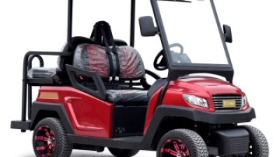 Top 10 Fully Enclosed Golf Carts for Ultimate Comfort and Protection