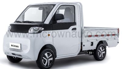 Electric Mini Truck - Reach T10-1.jpg