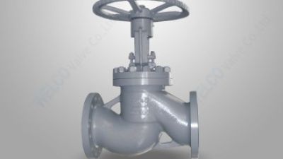 1-DIN standard globe valve 未上.jpg