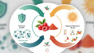 Benefits of Acerola Powder for Immune Health and Natural Vitamin C Boost
