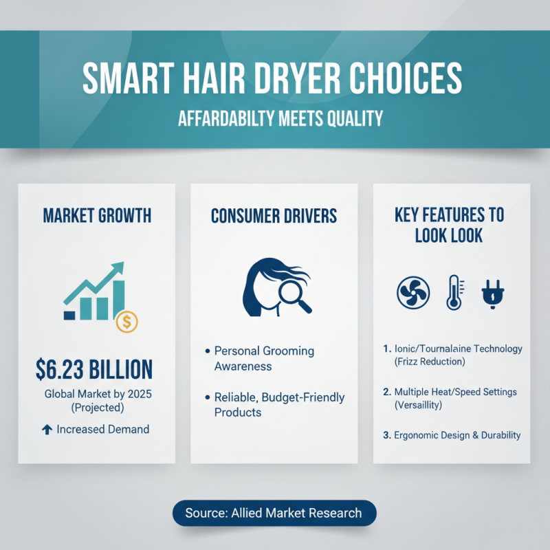 Best Hair Dryer Suppliers for Quality and Affordable Products