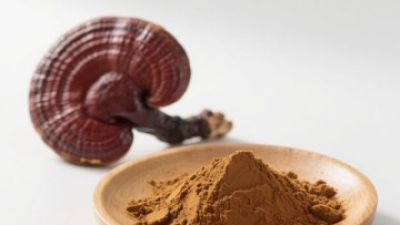 organic ganoderma spore powder 1.jpg
