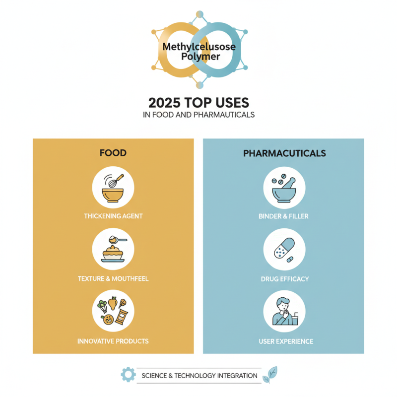 2025 Top Uses of Methylcellulose Polymer in Food and Pharmaceuticals