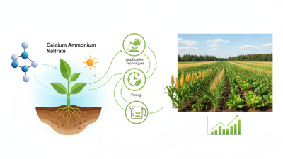 How to Use Calcium Ammonium Nitrate for Optimal Plant Growth