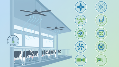 Best 10 Cow Stable Fans to Keep Your Livestock Cool and Comfortable