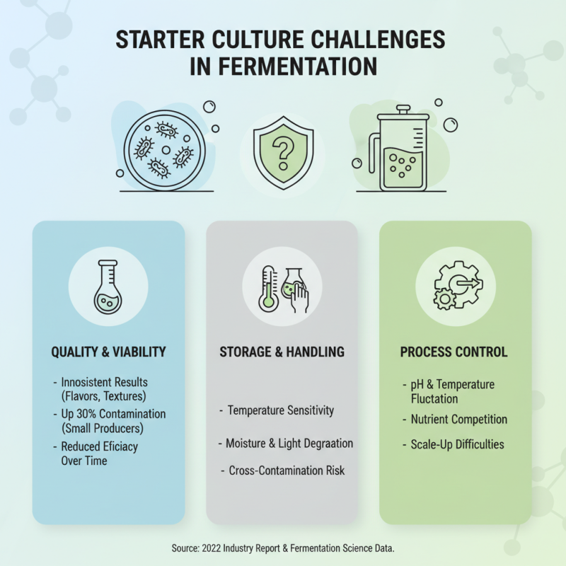 Why is Starter Culture Essential for Successful Fermentation in Food and Beverages