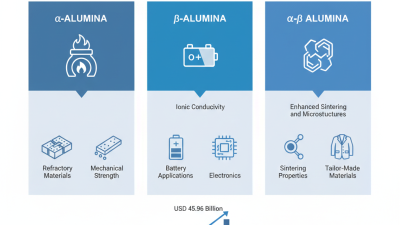 2025 How to Choose Between a / β / a-β Alumina for Your Applications
