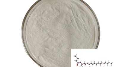 Ceramide1.jpg