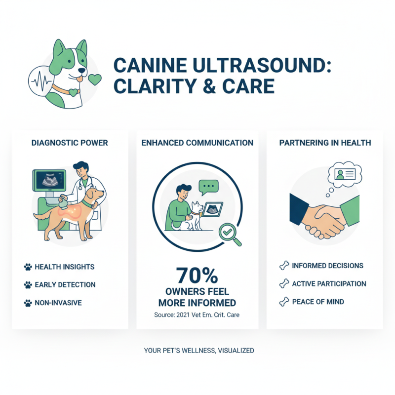 Top 10 Benefits of Canine Ultrasound Machines for Pet Health Care