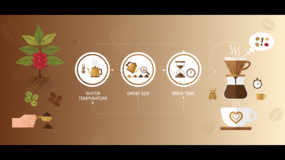 How to Brew the Perfect Cup of Coffee: Tips for Every Coffee Lover