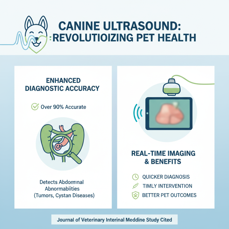 Top 10 Benefits of Canine Ultrasound Machines for Pet Health Care