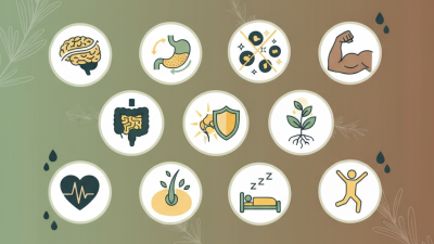 10 Best Benefits of Rosemary Extract for Health and Wellness