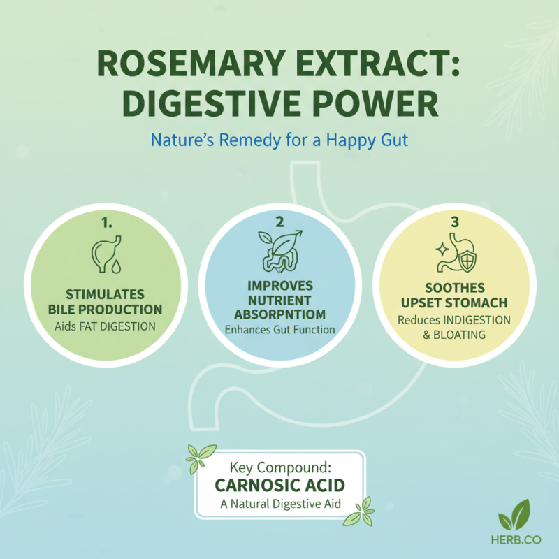 10 Best Benefits of Rosemary Extract for Health and Wellness