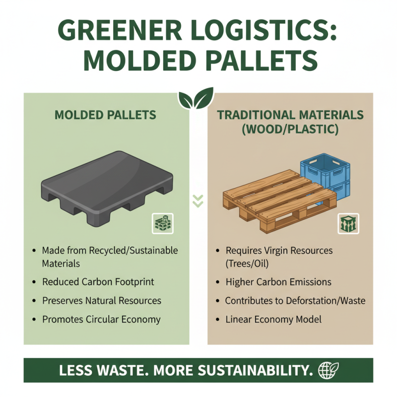 What is a Molded Pallet and How Can It Benefit Your Business