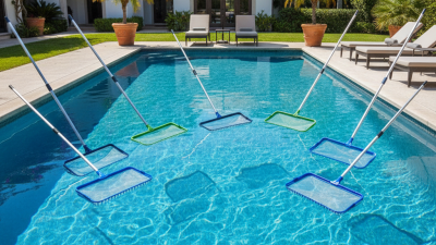 Top 7 Best Pool Rakes to Keep Your Swimming Pool Sparkling Clean