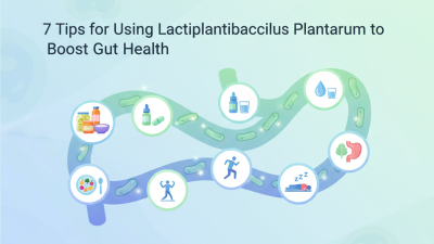 7 Tips for Using Lactiplantibacillus Plantarum to Boost Gut Health