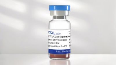 603-英文 CD3 CD28 Separation.jpg