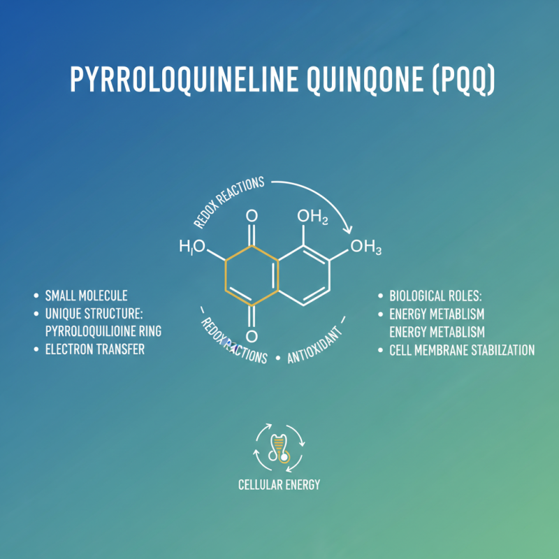 What Is Pyrroloquinoline Quinone Powder and Its Health Benefits?