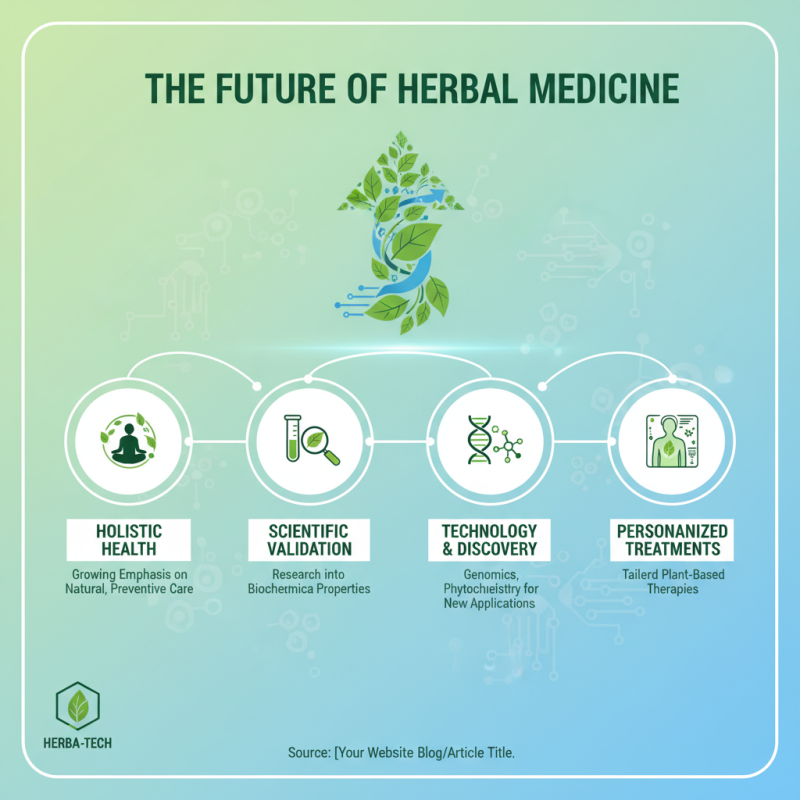 10 Superior Herb Medicine Benefits You Must Know for Better Health