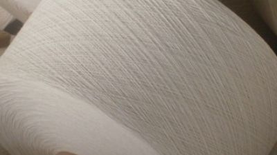 Meta Aramid with FR Viscose Spun Yarn (1).jpg