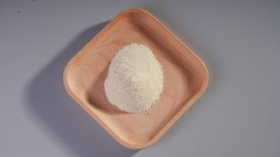 Bifidobacterium longum subsp. longum.jpg