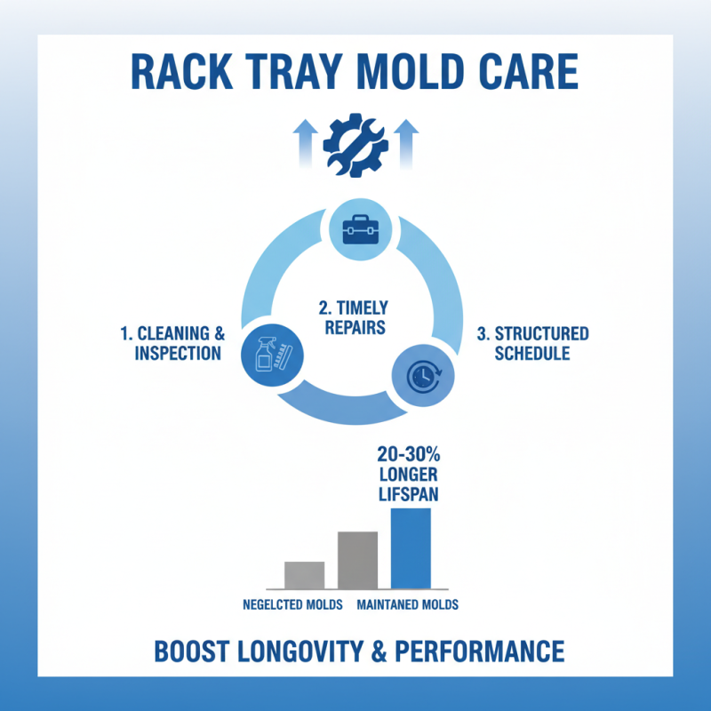 How to Choose the Right Rack Tray Molds for Your Production Needs
