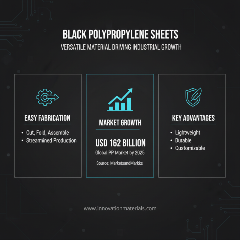 Top 10 Benefits of Using Black PP Sheet for Your Projects