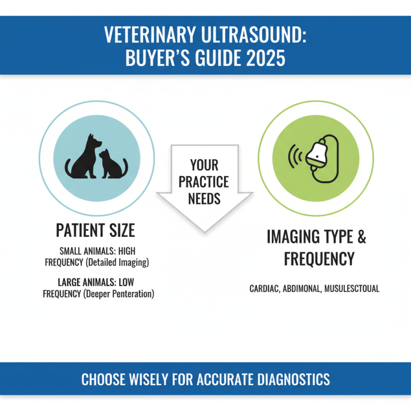 How to Choose the Best Veterinary Ultrasound Machine for Your Practice in 2025