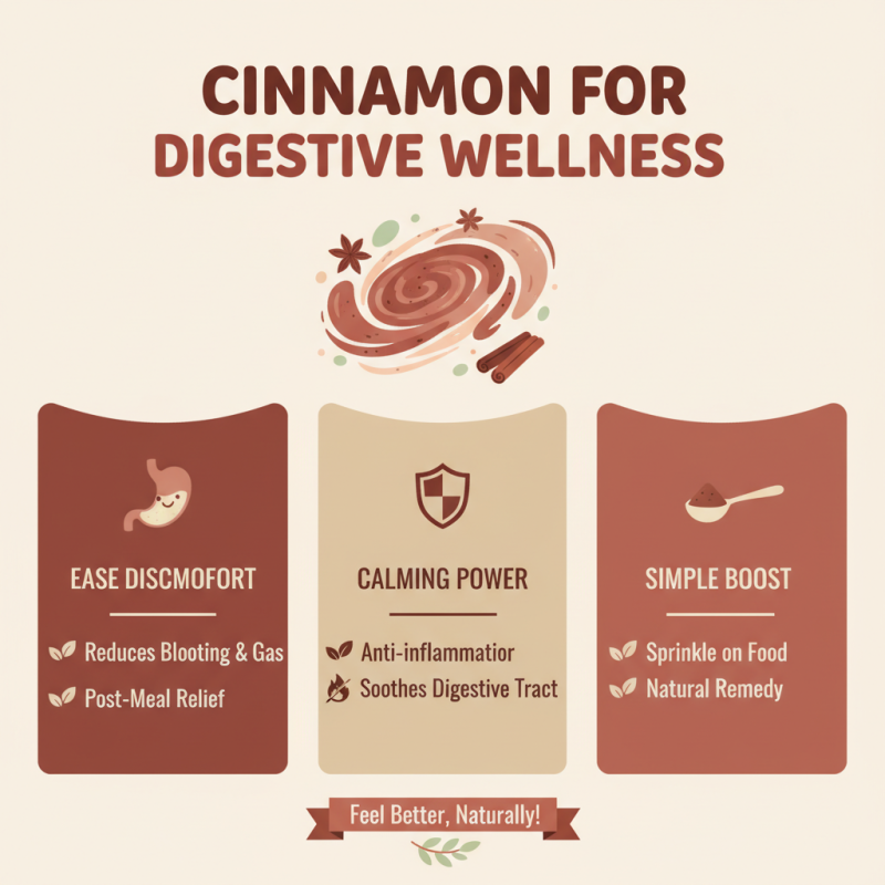 Top 10 Benefits of Cinnamon Extract Powder for Health and Wellbeing