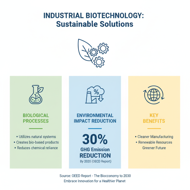2026 How to Leverage Industrial Biotechnology for Sustainable Solutions