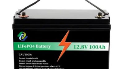 12v 100ah battery.jpg