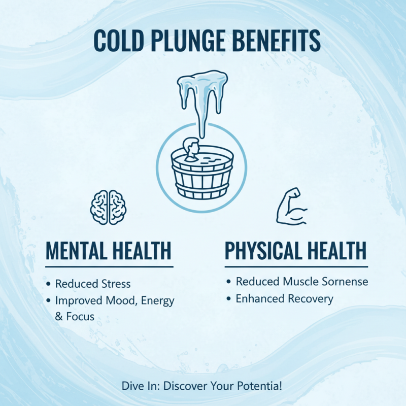 Top 10 Cold Plunge Wood Benefits for Your Health and Wellness
